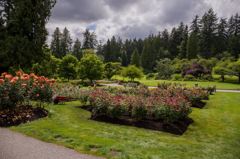 Ground Cover Planting Costs — Cost of Ground Cover Planting