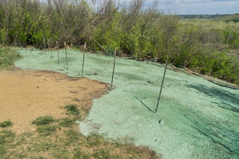 Ground Cover Planting Costs — Cost of Ground Cover Planting