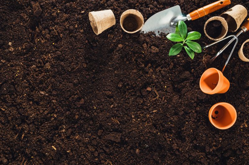 Ground Cover Planting Costs — Cost of Ground Cover Planting