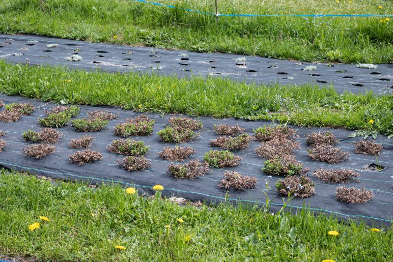 Weed Control Measures