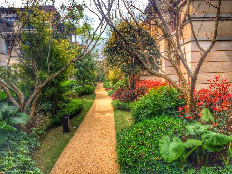 Pathway with Ground Cover