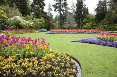 Get Professional Planting To Ensure That Your Plants Are Growing Healthy