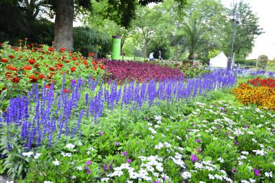 Add Aesthetic Value To Your Landscaping